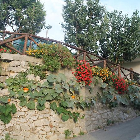 Casa Vacanze Chery Sorrento Exterior foto
